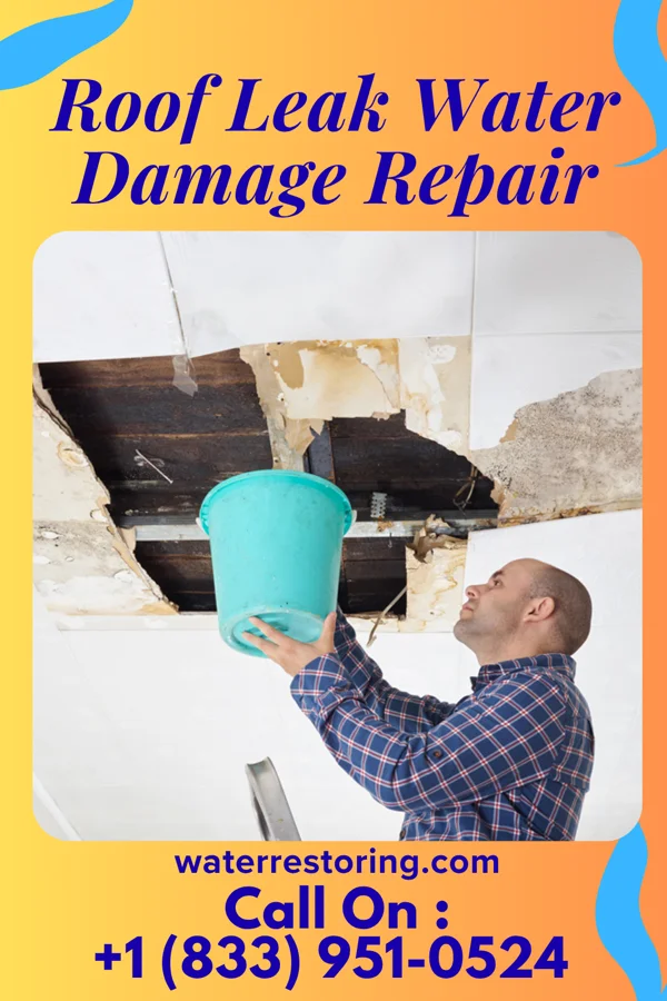 Roof Leak Water Damage Repair in Eminence, MO